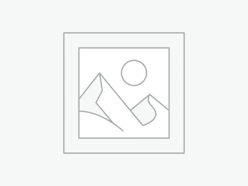 عنصر نائب Placeholder